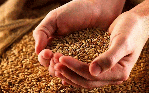 آثار نپرداختن زکات