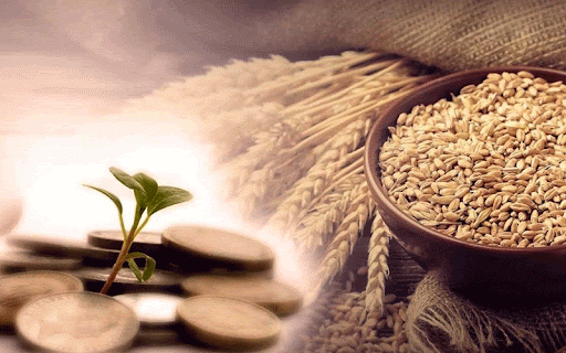 تاثیر زکات بر جامعه اسلامی